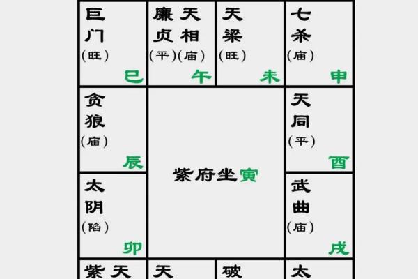 2025年4月9日卯时女命紫微斗数全解盘