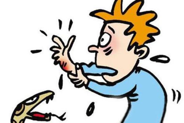 梦见被蛇咬手 梦见被蛇咬手