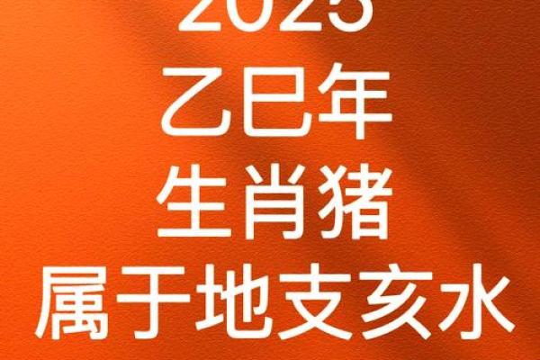 1995属猪女2025年全年运势如何_1995年女猪2022年运势运程 1995属猪女2025年全年运势如何_1995年女猪2022年运势运程