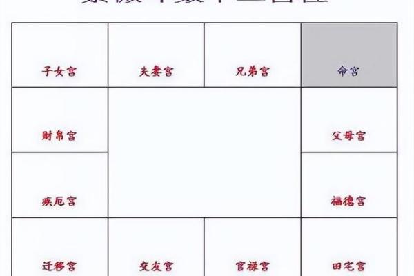 2025年4月8日辰时女命紫微斗数全解盘 2025年4月8日辰时女命紫微斗数全解盘