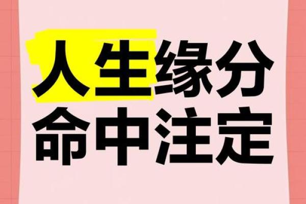什么是命中注定的姻缘 什么是命中注定的姻缘呢 什么是命中注定的姻缘 什么是命中注定的姻缘呢