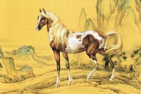 五体投地指什么生肖 五体投地指什么生肖