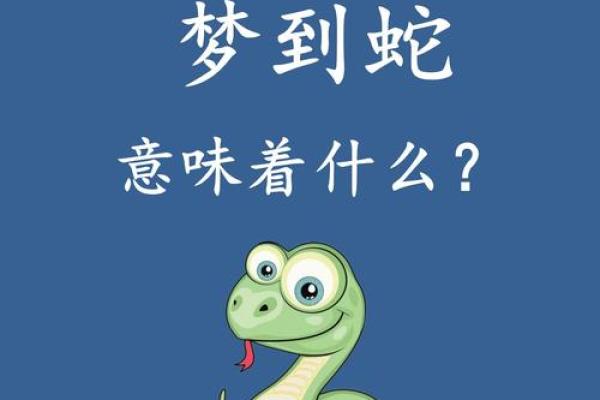 梦到两条蛇是什么征兆 女性