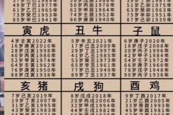 2025年06年属狗人年龄揭秘你几岁了 2025年06年属狗人年龄揭秘你几岁了