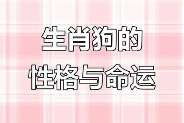 1994年属狗一生运势 1994年属狗一生运势详解财运事业爱情全解析 1994年属狗一生运势 1994年属狗一生运势详解财运事业爱情全解析