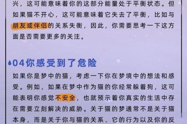 梦见猫攻击我 梦见猫攻击我