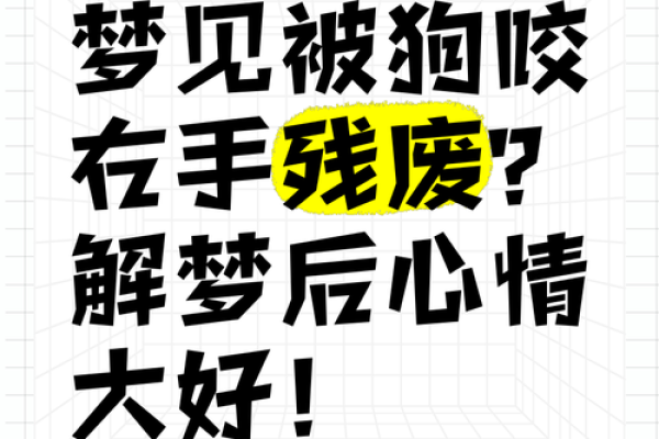梦见被狗 梦见被狗