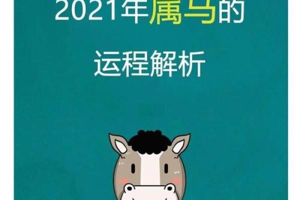 2021年属马的多大_2021年属马人年龄解析不同月份出生岁数对照表