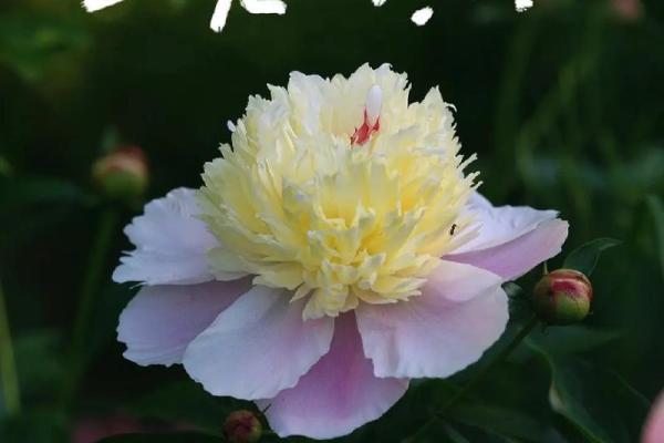 2022年的最后一个节气