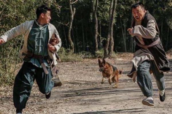 女人梦见狗追咬是什么预兆 女人梦见狗追咬是什么预兆