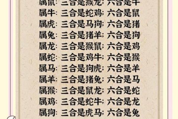 落地生根打一准确生肖(落地生根打一准确生肖最佳答案)