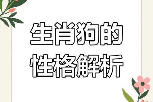 1994年属狗五行属什么揭秘94年狗年出生者的命运与五行属性 1994年属狗五行属什么揭秘94年狗年出生者的命运与五行属性