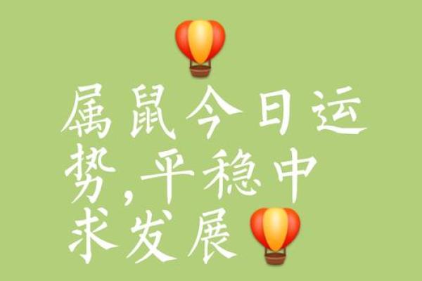 2025年属鼠运势 2025年属鼠运势