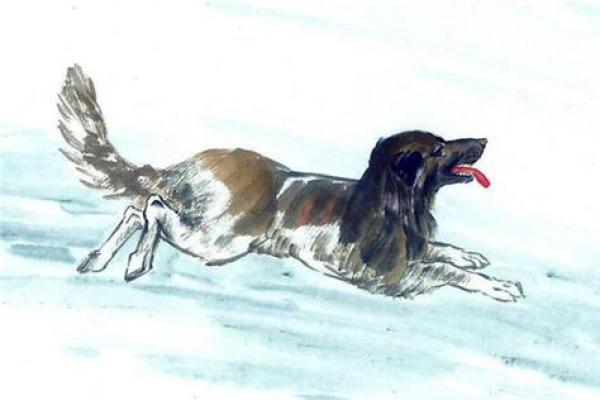 1970年属狗的每月运势 免费版 1970年属狗每月运势详解免费版全年运程预测 1970年属狗的每月运势 免费版 1970年属狗每月运势详解免费版全年运程预测