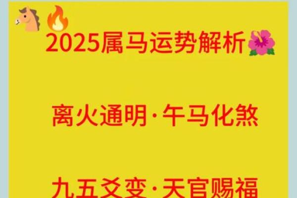 2025属马人全年运势详解事业财运健康运程全指南 2025属马人全年运势详解事业财运健康运程全指南