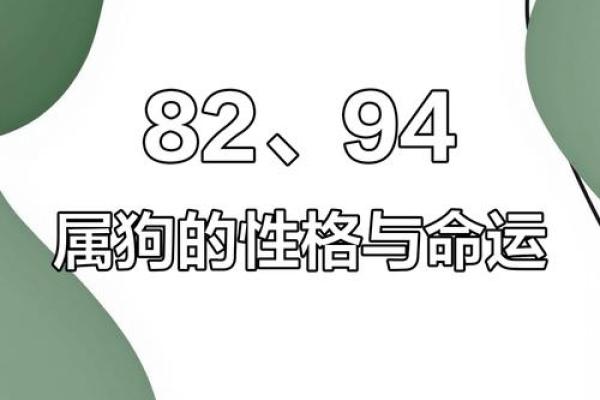 1982年属狗女2025年运势完整版 1982年属狗女2025年全年的运势 1982年属狗女2025年运势完整版 1982年属狗女2025年全年的运势