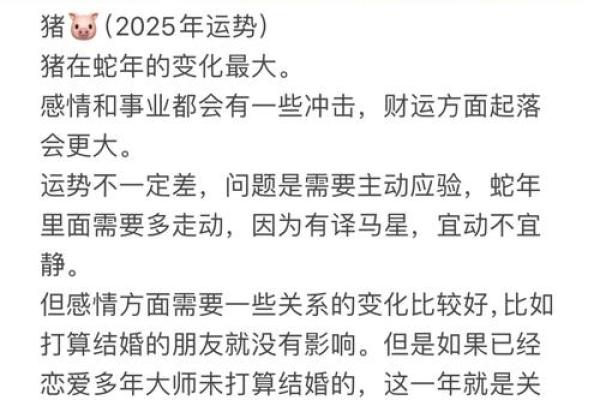 属猪2025年注意什么_2025年属猪人运势解析注意事项与运势提升指南