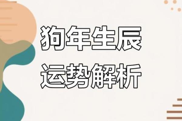 属狗人的2025年运势_2025年属狗人运势详解事业财运爱情全解析