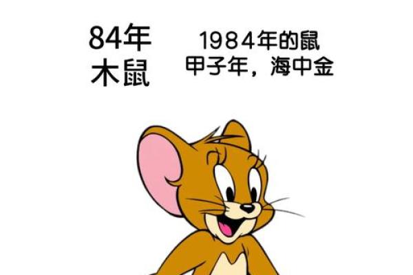 1984年鼠今年运势 1984年鼠今年运势