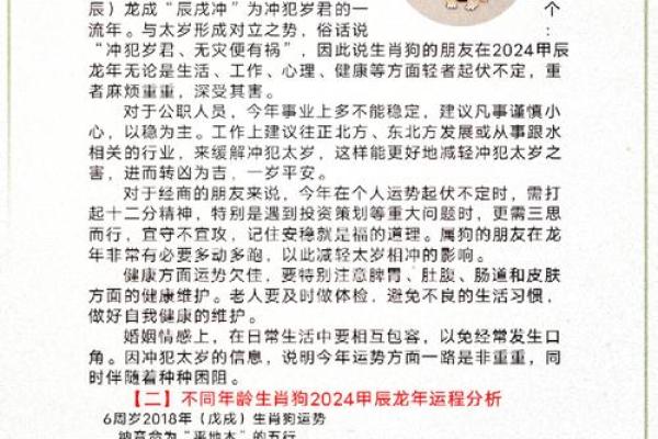 属狗的2025年多大 属狗的2024年多大 属狗的2025年多大 属狗的2024年多大