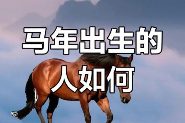 属马2002年出生男孩命运如何_2002年属马男孩命运解析运势性格与事业展望