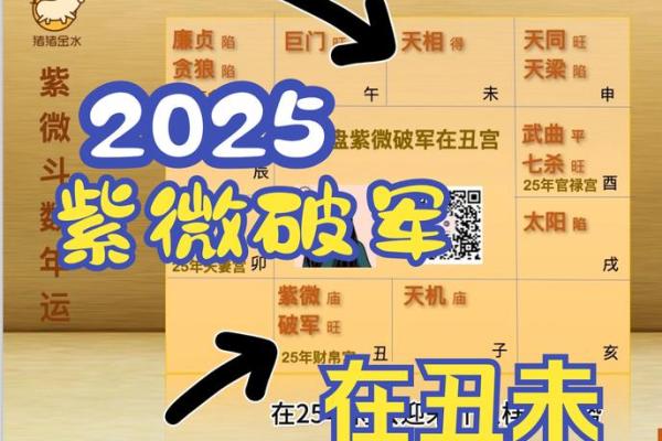 2025年4月20日戌时男命紫微斗数全解盘 2025年4月20日戌时男命紫微斗数全解盘
