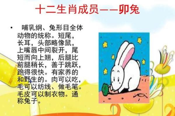 “缺三短四”是什么生肖动物，缺三短四是什么生肖答案解释释义落实