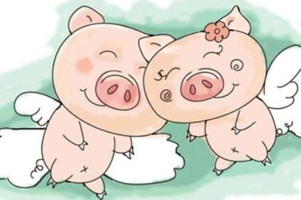 属龙女与属猪男婚配缘分天定还是性格不合 属龙女与属猪男婚配缘分天定还是性格不合