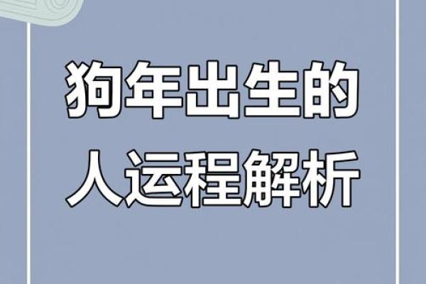 2025年属狗1970年运势_2025年属狗1970年出生者运势详解及运势提升指南 2025年属狗1970年运势_2025年属狗1970年出生者运势详解及运势提升指南
