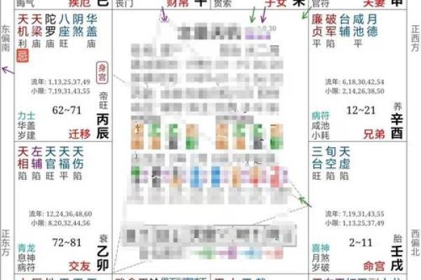 2025年4月19日酉时男命紫微斗数全解盘 2025年4月19日酉时男命紫微斗数全解盘