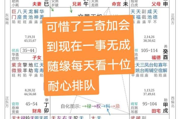 2025年4月5日午时男命紫微斗数全解盘 2025年4月5日午时男命紫微斗数全解盘
