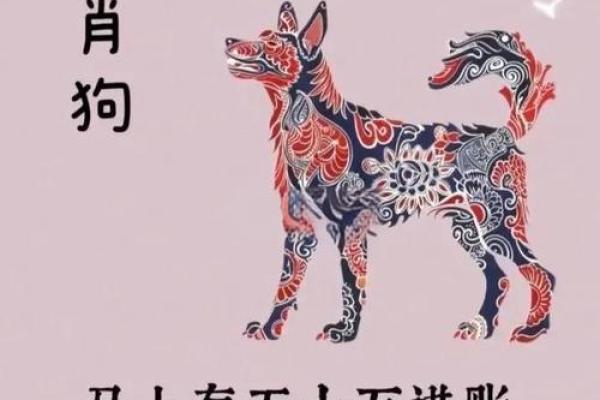 1970年的狗今日财运_70年属狗人发横财的年龄