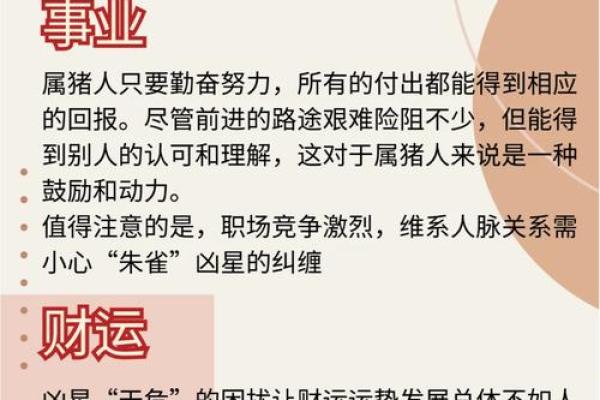 2025年属猪女性全年运势详解事业财运爱情全解析 2025年属猪女性全年运势详解事业财运爱情全解析