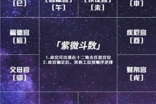 2025年4月2日卯时女命紫微斗数全解盘 2025年4月2日卯时女命紫微斗数全解盘