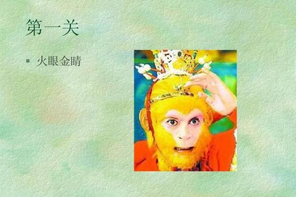 火眼金睛打一准确生肖(火眼金睛打一准确生肖什么数字) 火眼金睛打一准确生肖(火眼金睛打一准确生肖什么数字)