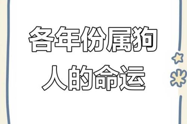 1994年属狗今年运势_1994年属狗2023年运势解析事业财运爱情全攻略