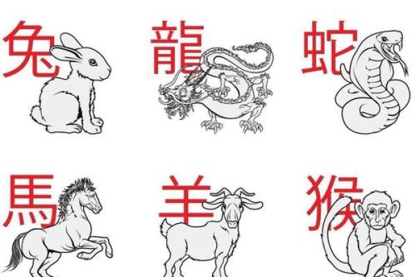 十指连心是什么生肖 十指连心是什么生肖