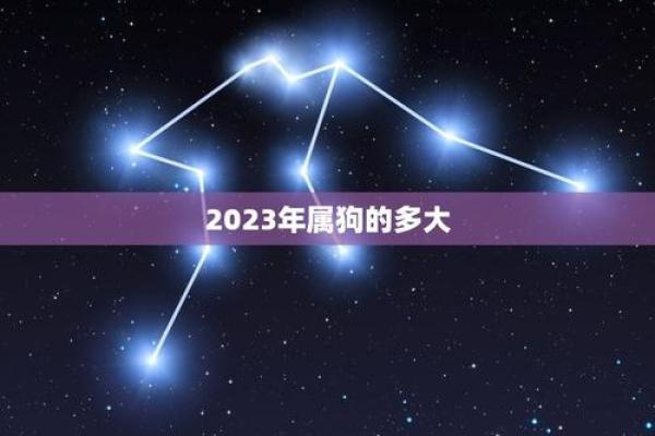 2023属狗要小心一个人 2023属狗要小心一个人吗 2023属狗要小心一个人 2023属狗要小心一个人吗