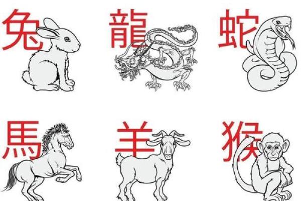 目光短浅是什么生肖(目光短浅是什么生肖动物)