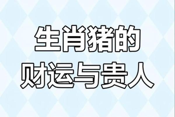 2025年属猪大忌颜色_2025年属猪大忌颜色避开这些颜色运势更旺 2025年属猪大忌颜色_2025年属猪大忌颜色避开这些颜色运势更旺