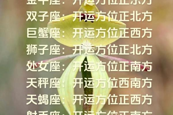 星座运势准确吗 星座运势真的准确吗揭秘星座预测的科学依据