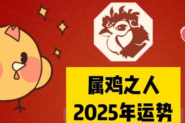 属鸡人的2025年运势_2025年属鸡人的全年运势1981出生