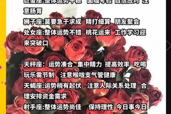 十二星座下周运势解析事业爱情双丰收指南