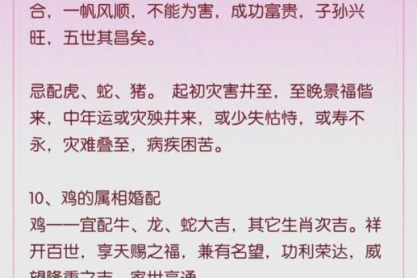 1999年最佳婚配属相 1999年最佳婚配属相