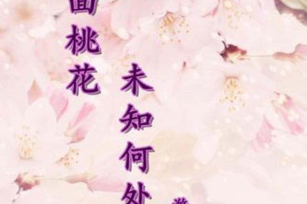 “人面桃花”打一生肖是什么,人面桃花什么生肖答案解释释义落实 “人面桃花”打一生肖是什么,人面桃花什么生肖答案解释释义落实