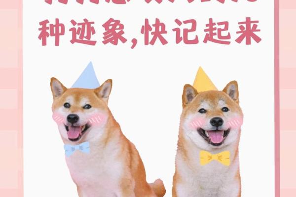 梦见狗咬自己财运怎么样 梦见狗咬自己财运怎么样