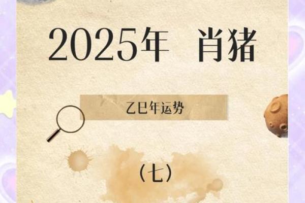 属猪今年多大了 2023年属猪人年龄查询今年属猪的多大了 属猪今年多大了 2023年属猪人年龄查询今年属猪的多大了