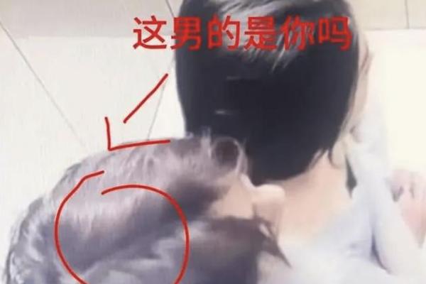 梦见猫咪和自己很亲热 梦见猫咪和自己很亲热