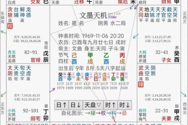 2025年4月5日卯时女命紫微斗数全解盘 2025年4月5日卯时女命紫微斗数全解盘