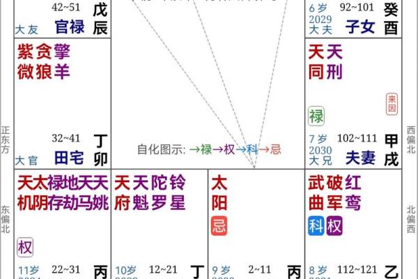 2025年4月9日辰时女命紫微斗数全解盘 2025年4月9日辰时女命紫微斗数全解盘
